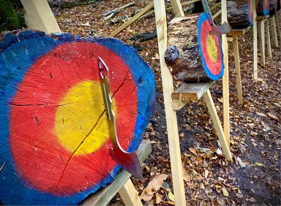 Axes stuck into wooden targets