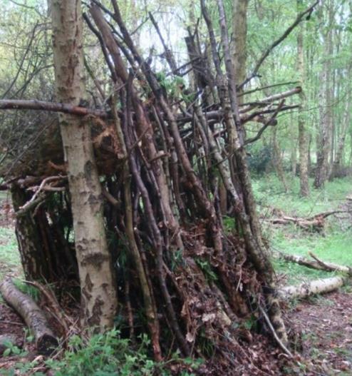 A shelter made of branches