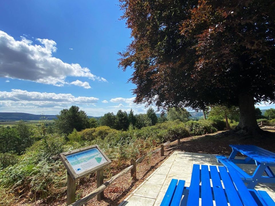 Picnic benches overlooking a beautiful view